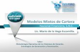 Modelos Mixtos de Cartera - …foroargentina.redegarantias.com/documentos/presentaciones/talleres/... · Taller: Metodología Operativa de los Sistemas de Garantía. ... Apalancamiento