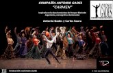 COMPAÑÍA ANTONIO GADES “CARMEN” - Danza | …artflamencoevents.com/pdf/es/Gades.Carmen.pdf · A la edad de once años Gades deja de ir a la escuela, a pesar de que le gustaba