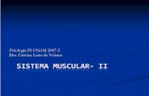 Fisiologíía FI a FI--UNAM 2007 UNAM 2007--22 Dra. … · insertan en palancas rígidas (huesos). ... dada por la disposicidada por la disposicióón de las fibras musculares n de