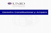 Derecho Constitucional y Amparo - Mi Materia en …moodle2.unid.edu.mx/dts_cursos_mdl/pos/DR/CA/S12/CA12...En el caso de la orden de aprehensión por autoridades judiciales, en cuyo