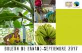 BOLETÍN DE BANANO-SEPTIEMBRE 2017 - clac …clac-comerciojusto.org/.../Boletín-de-Banano-septiembre-2017-ok.pdf · Produce el 95% de banano Fairtrade que se consume en el mundo,