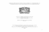 OBTENCIÓN DE ETANOL CELULÓSICO A PARTIR DE LA VARIEDAD DE ...repository.udistrital.edu.co/.../1/GonzalezJuradoYuranyAndrea2018.pdf · (a) Representación de la constitución y organización