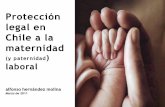 Protección legal en Chile a la maternidadescuelasindical.org/.../MATERNIDAD_LABORAL_Y_AMPARO... · vinculadas al resguardo de la maternidad deben ser examinadas regularmente a la