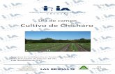Cultivo de Chícharo - ainfo.inia.uy · DÍA DE CAMPO PLAN DE NEGOCIOS CHICHARO INIA-FAGRO-DIGEGRA-SFRSanta Rosa Fecha: Viernes 8 de noviembre Hora: de 7 …