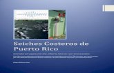 Seiches Costeros de Puerto Rico - …oceanphysics.weebly.com/.../seiches_costeros_de_puerto_rico.pdf · es Puerto Rico y segundo por haberme dado la vida y ... la cual contiene el
