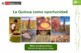 La’Quinua’como’oportunidad’ - minagri.gob.pe€¦ · o Laprincipal(empresaexportadorade(quinua es(“ExportadoraAgrícolaOrgánicaS.A.C.”,(la cual(par6cipacon(el ... 2%