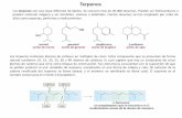 Presentación de PowerPoint - [DePa] Departamento de ...depa.fquim.unam.mx/amyd/archivero/Lipidos2_32474.pdf · Todos los esteroides contienen un sistema de anillos tetracíclicos,
