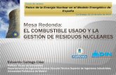 Mesa Redonda: EL COMBUSTIBLE USADO Y LA GESTIÓN DE ... fileRetos de la Energía Nuclear en el Modelo Energético de España. La Granja, 12-13 de julio de 2010. Mesa Redonda: ... EC
