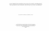 ACOPLAMIENTO DE UN MODELO DE FLUJO DE …tangara.uis.edu.co/biblioweb/tesis/2006/120006.pdf · acoplamiento de un modelo de flujo de fluidos y geomecÁnica con el anÁlisis de estabilidad
