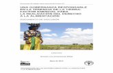 UNA GOBERNANZA RESPONSABLE EN LA TENENCIA DE LA TIERRA … · tenencia de la tierra en los distintos niveles territoriales (nacional, regional y local). Importantes cambios en los