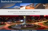 Fusiones y Adquisiciones Méxicomnamexico.com/wp-content/uploads/2017/01/Reportes... · 2017-03-30 · Torre Cuarzo en Paseo de la Reforma, ... FEMSA SAB de CV $575.0 100.0% Everton
