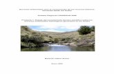 Servicios ambientales para la conservación de los … · ANEXO 1: Memorias del Taller de Papallacta, ... hidrológicos de ecosistemas intervenidos mediante proyectos de restauración