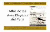 Atlas de las Aves Playeras del Perú - minam.gob.pe · Norte - Centro - Sur • Sitios ya conocidos • Resultados evaluaciones anteriores (Morrison y Ross 1989, López-Lanús y Blanco