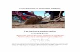 La recuperación de tecnologías indígenas · y las actuales doctrinas del desarrollo. El antiguo complejo ferroviario de Uyuni ... designadas como guardianes del patrimonio cultural