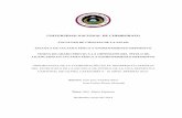 UNIVERSIDAD NACIONAL DE CHIMBORAZO - …dspace.unach.edu.ec/bitstream/51000/937/1/UNACH-EC-CUL.FIS-2013... · estudios profesionales y para la elaboración de esta tesis; al Ing.