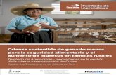 Crianza sostenible de ganado menor aumento de ingresos en ...americalatina.procasur.org/images/TA_Cuy_Peru_ES_1.pdf · Iniciar la producción de cuyes aplicando buenas prácticas