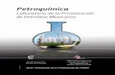 Calderón remata la petroquímica - RMALC 07 PPQ Laboratorio de la... · La labor para explicar con objetividad la situación del petróleo y de la industria petrolera mexicana no