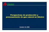 Perspectivas de producción y procesamiento de gas natural ...wecmex.org.mx/presentaciones/...y_procesamiento_gas_natural.pdf · procesamiento de gas natural en México Octubre 14,