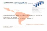 Experiencia en Sistemas de Garantías en México Mario De …€¦ · las que llamamos Intermediarios financieros especializados. Garantías Crédito Cadenas Productivas ... Alta,
