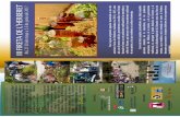 CONOCIMIENTOS TRADICIONALES Los investigadores del … (1).pdf · artesanales, del folklore, de la música y de la gastronomía BAR BEBIDAS ESPIRITUOSAS TRADICIONALES DE ALICANTE