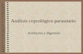 Análisis coprológico parasitario - Universidad de Granadaparasito/Practicas en pdf/Artefactos para alumnos ABD.pdf · Otros residuos • Origen animal – Fibras musculares –Grasas