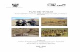 PLAN DE MANEJO - Monografias.com · protección de la vicuña y el guanaco fomentando su crianza, mejoramiento genético y el aprovechamiento de sus productos. • Art. 63 declara