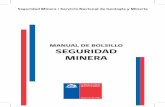 MANUAL DE BOLSILLO SEGURIDAD MINERAbiblioteca.sernageomin.cl/opac/DataFiles/R14153.pdf · Funciones del SERNAGEOMIN en Seguridad Minera * Fiscalización: fiscalizamos que las faenas