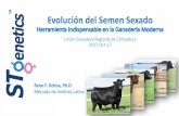 Evolución Semen Sexado-Oct-17 - fz.uach.mxfz.uach.mx/noticias/2017/10/23/Evolucion Semen.pdf · •Mejorar la técnica del procesamiento de semen •Nuevo equipo y software •Mejorar