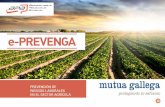e-PREVENGA - Mutua Gallega · 2017-10-03 · Son las partes de la maquinaria agrícola diseñadas para trasladar el producto hacia otras partes internas de la ... En este sector,