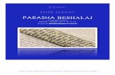PARASHA BESHALAJ - Misión Israelmisionisrael.com/images/parasha_pdf/parasha_veshalaj_ninos_5775.pdf · La dinámica de esta actividad se llama:Cosas Físicas vs. Plenitud Espiritual