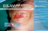 PIE DIAB‰TICO Art­culo Original Valoraci³n vascular ... Pie Diab©tico Digital, ... de la isquemia