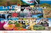 La Macroevolución y la Microevolución. · EVOLUCION DEF. 1: Son los ... diferencias del material genético de las diferentes especies. BIOLOGÍA MOLECULAR. TÉCNICAS DE BANDEO.