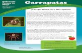 Colorado Garrapatas - webdoc.agsci.colostate.eduwebdoc.agsci.colostate.edu/ipm/garrapatas9.2.2014.pdf · garrapatas son generalmente encontradas en hierbas y plantas bajas, a la espera