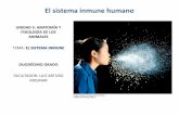 El sistema inmune humano - … fileel sistema inmune humano unidad 5: anatomÍa y fisiologÍa de los animales tema: el sistema inmune duodÉcimo grado facilitador: luis arturo molinar