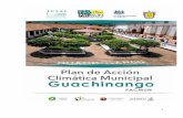 Es reconocido a nivel mundial el papel decisivo de losguachinango.gob.mx/normatividad/PLAN DE ACCION... · Medio Ambiente están siendo impulsados por Latin America Investment Facility