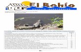 Cocodrilo cubano (Crocodylus rhombífer) en la ciénaga de ... · de cultivo en bahía Juncalito, golfo de California, México. ... necesitan en el proyecto para mejorar los modelos.