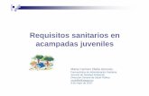 Requisitos sanitarios en acampadas juveniles - aragon.es€¦ · Certificado de limpieza y desinfección del depósito Certificado de materiales del depósito . Limpieza de depósitos