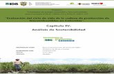 Capitulo IV: Análisis de Sostenibilidad · Sostenibilidad de Biocombustibles en Colombia - Capitulo IV: Análisis de Sostenibilidad 2 También existe una tendencia hacia la certificación