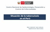 Situación de la tuberculosis en el Perú - dge.gob.pe · en el Per ú Med. Gabriela ... Defunciones estimadas* por Tuberculosis (A15-A19) por año. Peru, 2000-2012 ... Las cohortes