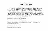 TUCUMÁN - inet.edu.ar€¦ · 1 Una pieza de cerámica de factura delicada y de características estéticas notables producida por alguna cultura prehispánica