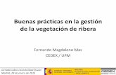 Buenas prácticas en la gestión de la vegetación de riberaawsassets.wwf.es/downloads/3__magdaleno__f___buenaspracticaveg… · Conclusiones y recomendaciones (I) i. Los avances