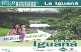 Revista 3 PDF Iguaná · La Iguana y su articulación con la 0 ferta institu i c de la Alcaldia de Medellin Y tidades públf Cas y privadas Medellín Imparable Gerencias Sociales