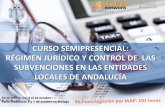 CURSO SEMIPRESENCIAL: RÉGIMEN JURÍDICO Y … · Subvenciones y su reglamento, y de la especialidad de las ... Foro de debate: Casos prácticos de entidades locales de Andalucía