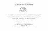 UNIVERSIDAD DE EL SALVADOR FACULTAD DE …ri.ues.edu.sv/13216/1/PROCEDIMIENTOS ESPECIFICOS PARA EL... · 2017-06-06 · ´´´´´´´´´´´.CAPÍTULO I PLANTEAMIENTO DEL PROBLEMA
