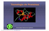 Tecnología de Proteínas - unq.edu.arcronos.unq.edu.ar/ibcm/clases/2008a/tecmol2.pdf · Tecnología de Proteínas Universidad Nacional de Quilmes PDF created with pdfFactory trial