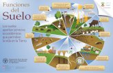 Funciones del suelo - fao.org · Los suelos aportan servicios ecosistémicos que permiten la vida en la Tierra Suelo Con el apoyo de fao.org/soils-2015/es Funciones del SAFE UNSAFE