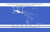 II Reunión Regional de la División de América Latina …internet.contenidos.inegi.org.mx/contenidos/productos/prod_serv/... · formas del relieve marino en los ma ... grandes formas