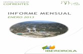 Informe mensual Enero 2013 - iberdrola.es · En la contraportada de este informe, ... permiten afirmar que el impacto radiológico de la Central en la zona es prácticamente inapreciable.