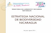 ESTRATEGIA NACIONAL DE BIODIVERSIDAD NICARAGUA · de Acción, así como los planes locales municipales, tomando como referencia las prioridades identificadas en los territorios por