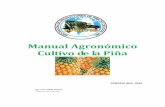 Manual Agronómico Cultivo de la Piña · 2016-05-17 · El presente manual de la Asociación de Productores de Piña de ... FENOLOGIA DEL CULTIVO Zonas de Vida de Cultivo y Suelos